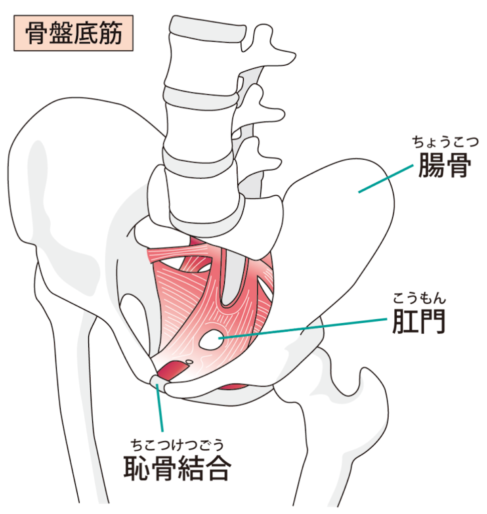 f:id:yuzudoren:20210408002119p:image f:id:yuzudoren:20210408002119p:image