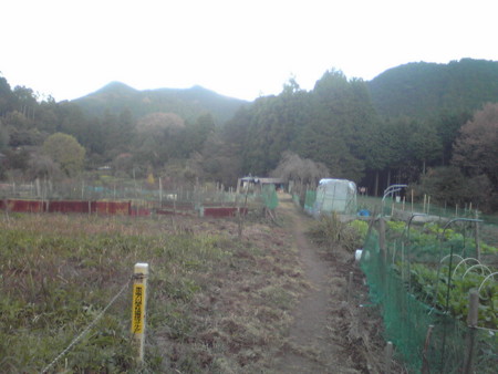 f:id:yuzuk45:20091123154000j:image f:id:yuzuk45:20091123154000j:image