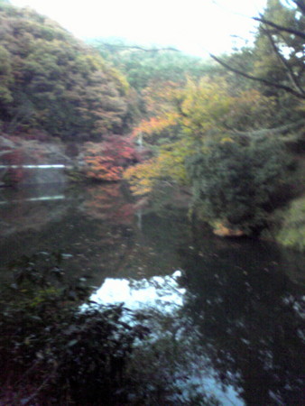 f:id:yuzuk45:20091123163300j:image f:id:yuzuk45:20091123163300j:image