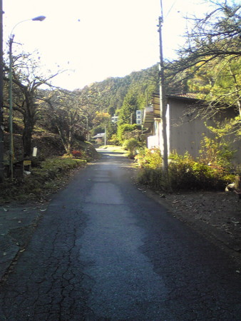 f:id:yuzuk45:20091126122201j:image f:id:yuzuk45:20091126122201j:image