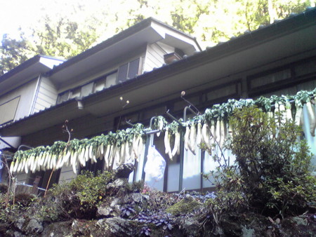 f:id:yuzuk45:20091126124100j:image f:id:yuzuk45:20091126124100j:image