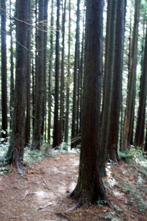 f:id:yuzuk45:20091212110008j:image f:id:yuzuk45:20091212110008j:image