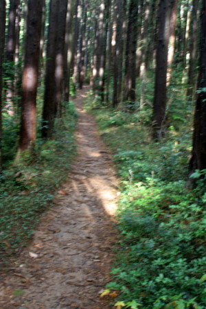 f:id:yuzuk45:20091212110927j:image f:id:yuzuk45:20091212110927j:image