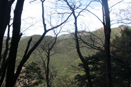 f:id:yuzuk45:20091212112036j:image f:id:yuzuk45:20091212112036j:image