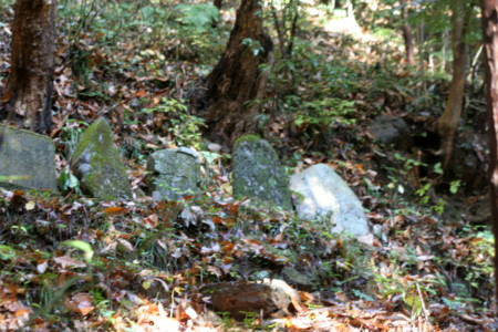f:id:yuzuk45:20091212135905j:image f:id:yuzuk45:20091212135905j:image