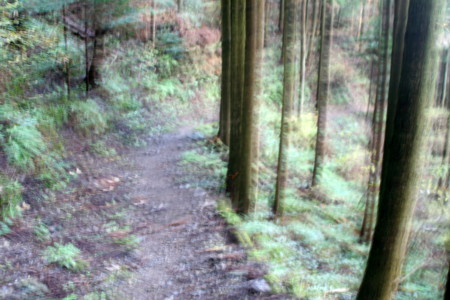 f:id:yuzuk45:20091212142853j:image f:id:yuzuk45:20091212142853j:image
