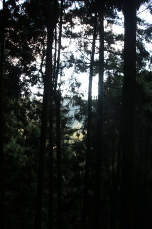 f:id:yuzuk45:20091212142856j:image f:id:yuzuk45:20091212142856j:image