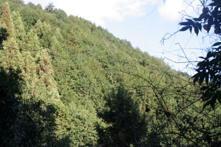 f:id:yuzuk45:20091212143146j:image f:id:yuzuk45:20091212143146j:image