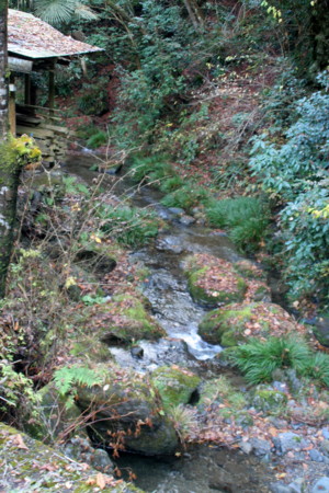 f:id:yuzuk45:20091212144211j:image f:id:yuzuk45:20091212144211j:image