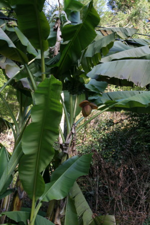 f:id:yuzuk45:20091212144425j:image f:id:yuzuk45:20091212144425j:image