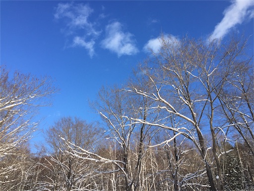 f:id:yuzuka-tani:20171231203721j:image