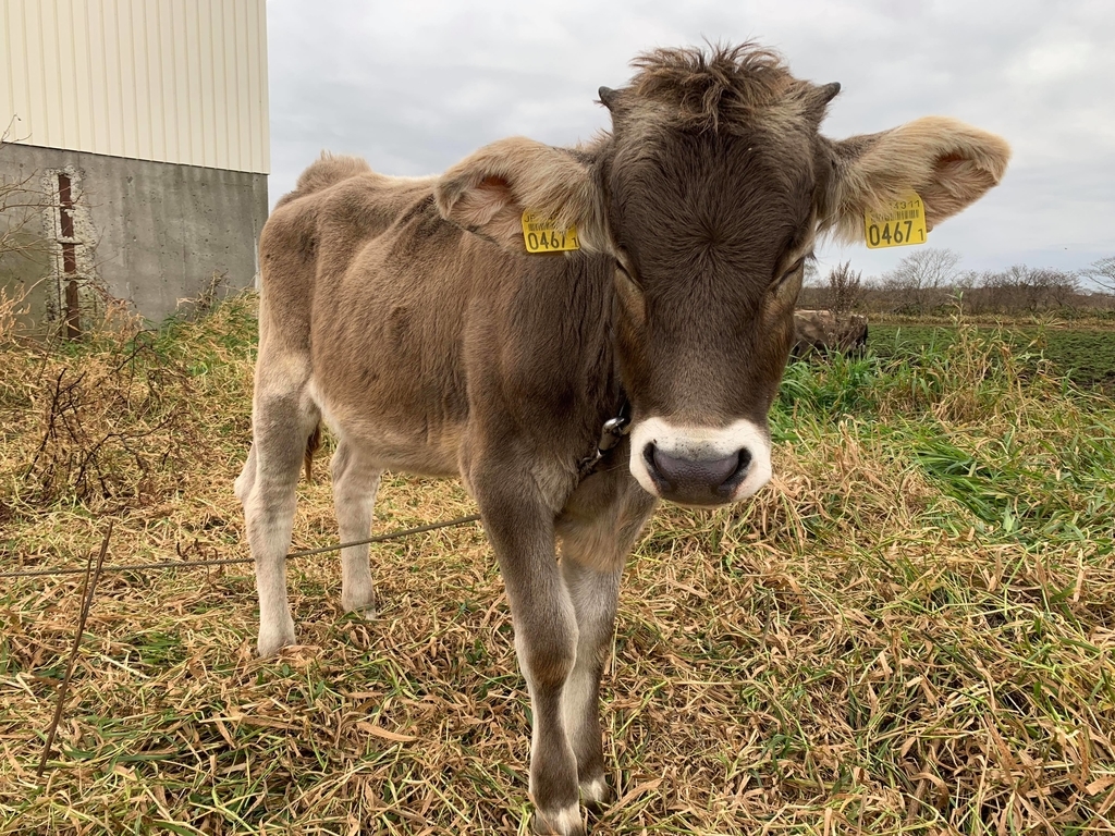 f:id:yuzuki-miki:20181107180629j:plain f:id:yuzuki-miki:20181107180629j:plain