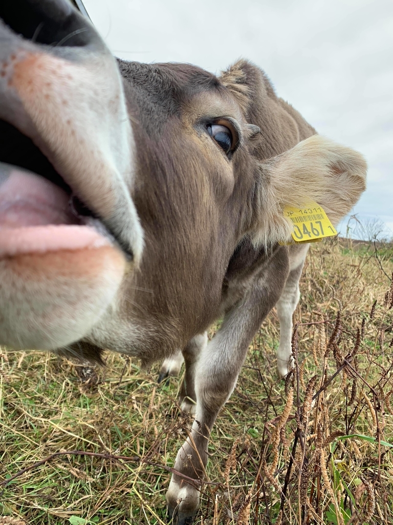 f:id:yuzuki-miki:20181107180716j:plain f:id:yuzuki-miki:20181107180716j:plain