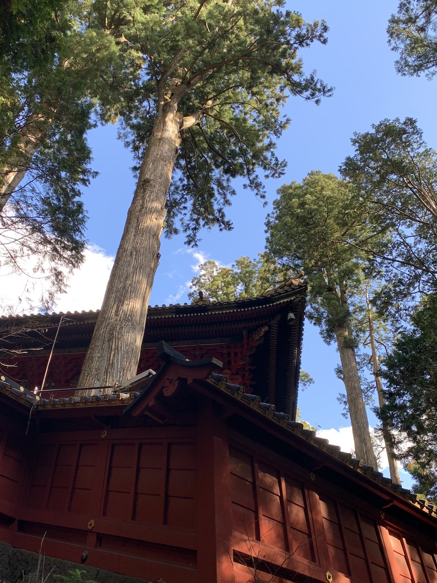 f:id:yuzuki-miki:20191204131359j:plain f:id:yuzuki-miki:20191204131359j:plain