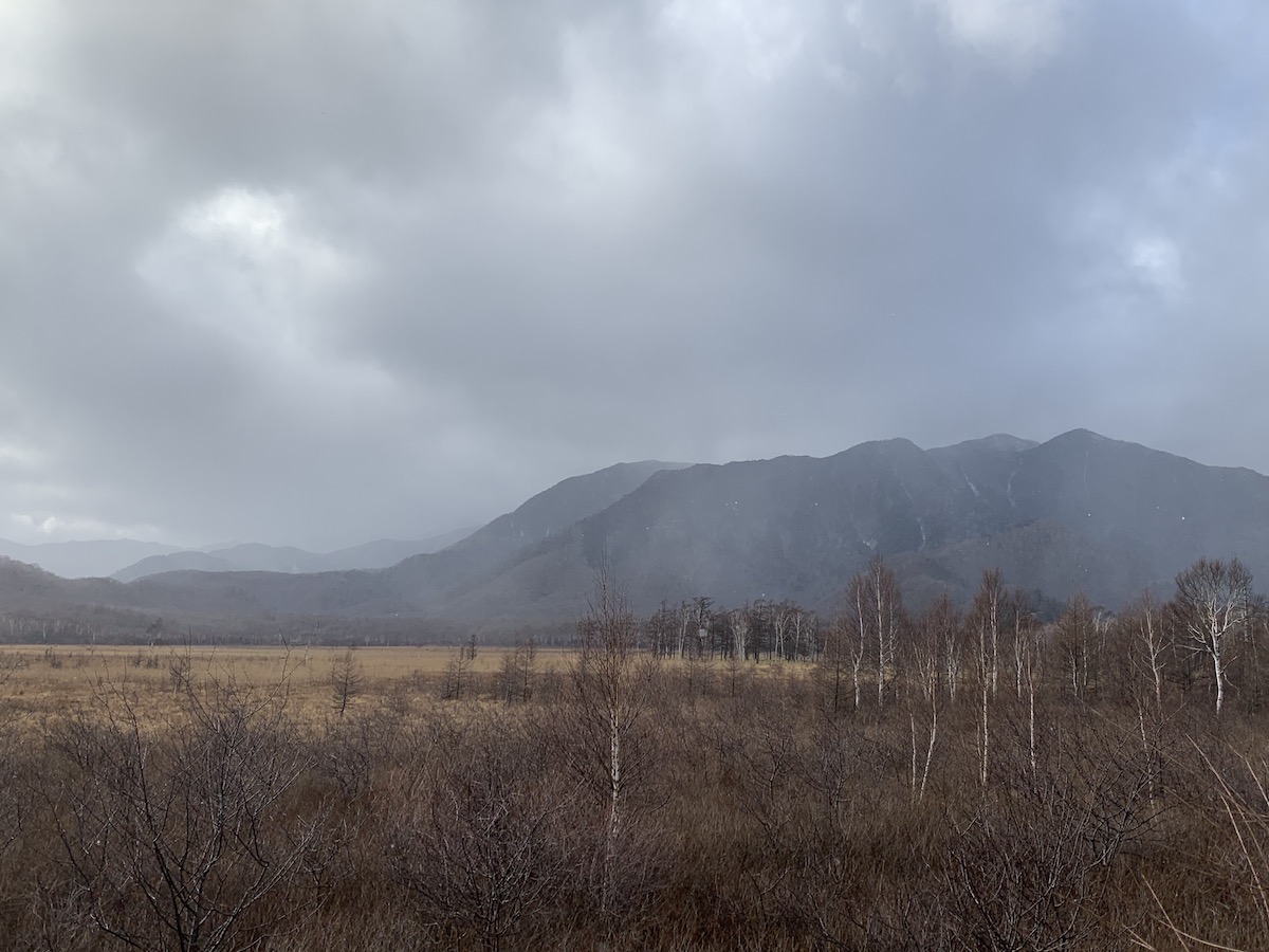 f:id:yuzuki-miki:20191204141248j:plain f:id:yuzuki-miki:20191204141248j:plain