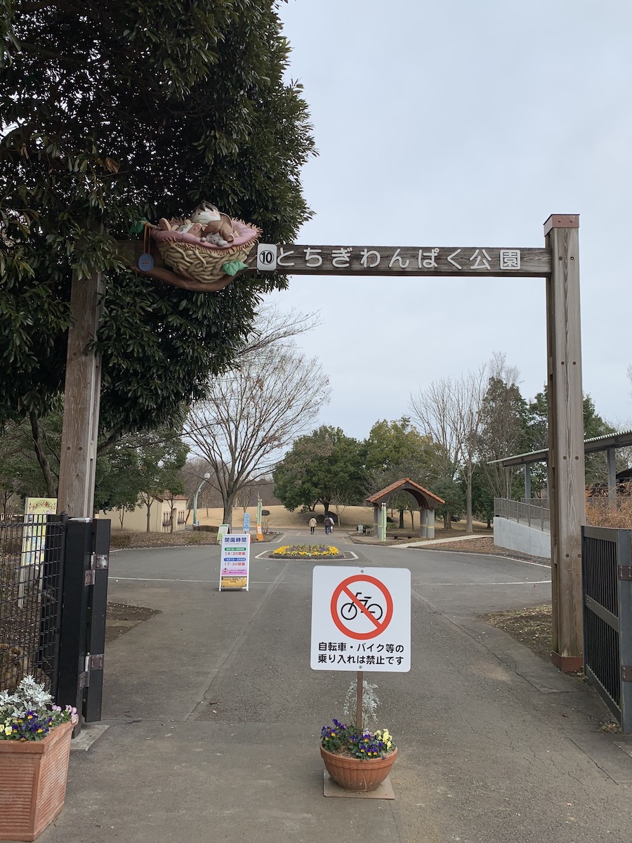 f:id:yuzuki-miki:20191223143941j:plain f:id:yuzuki-miki:20191223143941j:plain