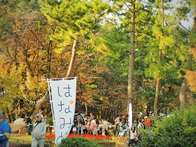 f:id:yuzuki-seraby:20171103231334j:image f:id:yuzuki-seraby:20171103231334j:image