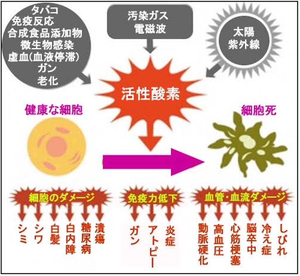 f:id:yuzuki-shimizu:20190614180559j:image f:id:yuzuki-shimizu:20190614180559j:image