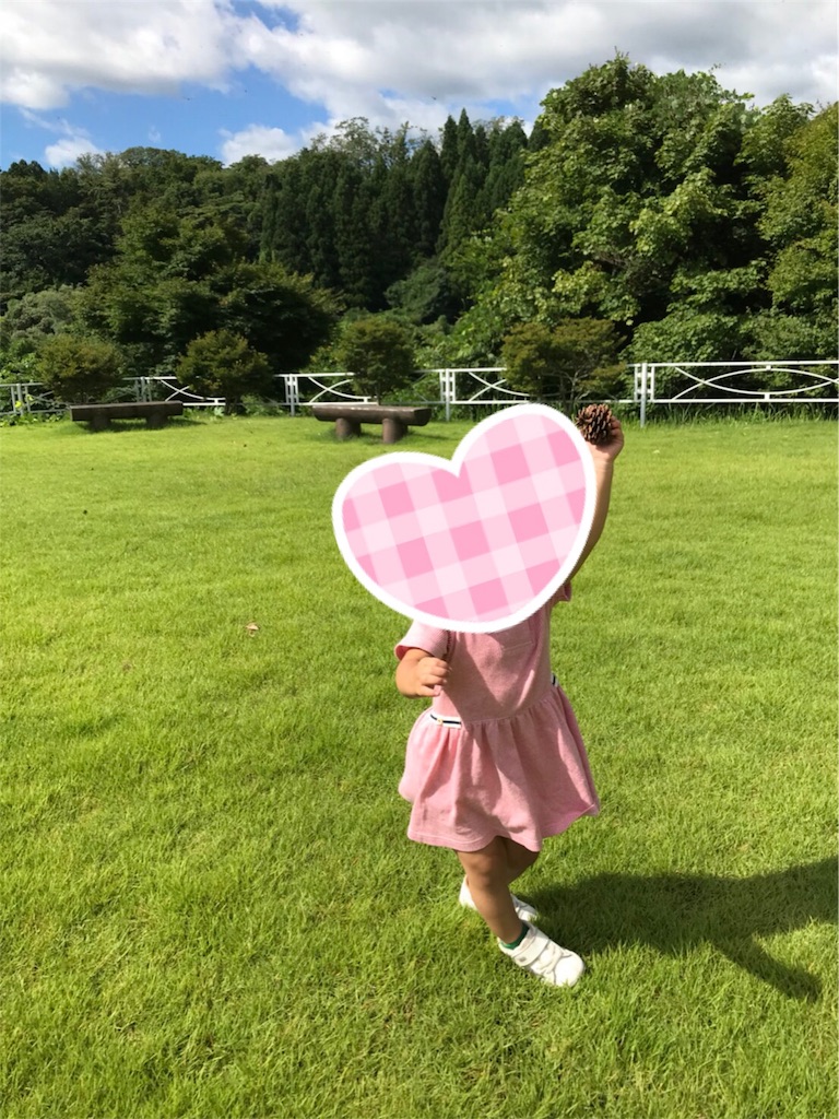 f:id:yuzukokoko:20180904230146j:image