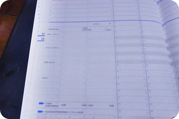 f:id:yuzupomz:20190701204653j:plain f:id:yuzupomz:20190701204653j:plain
