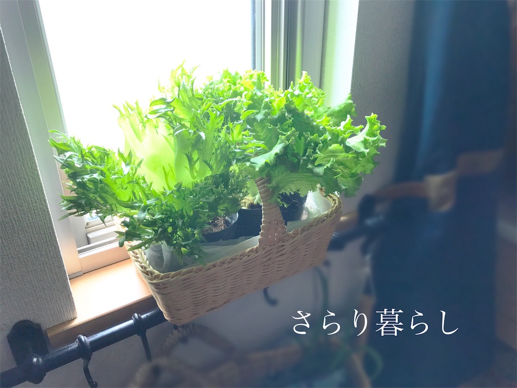 f:id:yuzushiohamachi:20180507235939j:image