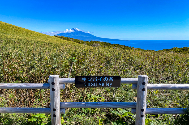 礼文島】日本最北の離島・礼文島を巡る(2日目)【北海道】 - ゆず