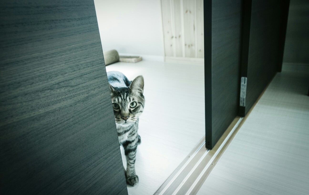 f:id:yuzutea2525:20170430215308j:image f:id:yuzutea2525:20170430215308j:image