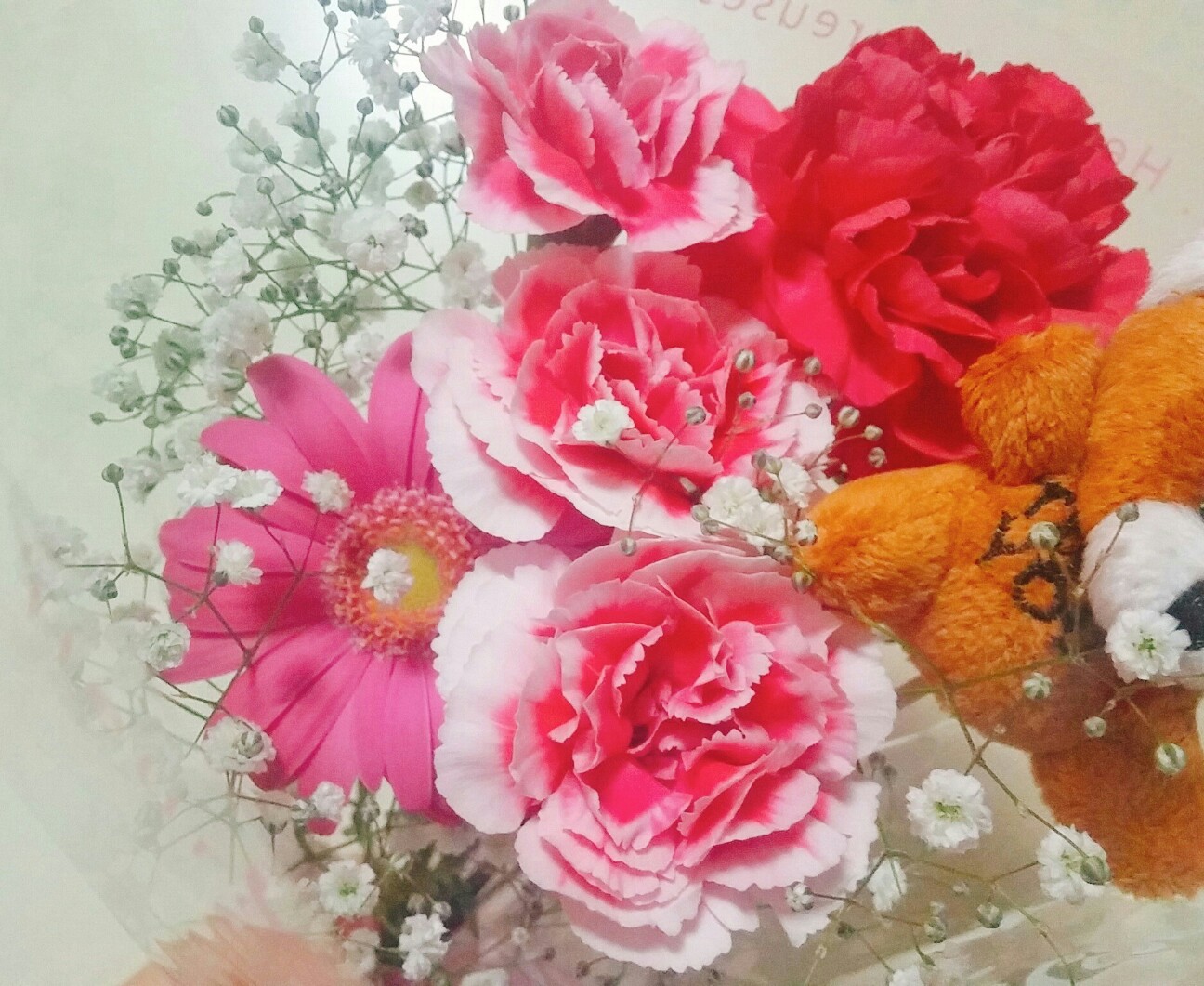 f:id:yuzutea2525:20170514194552j:image