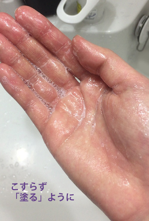 f:id:yuzuwasabi:20170127163713j:plain f:id:yuzuwasabi:20170127163713j:plain