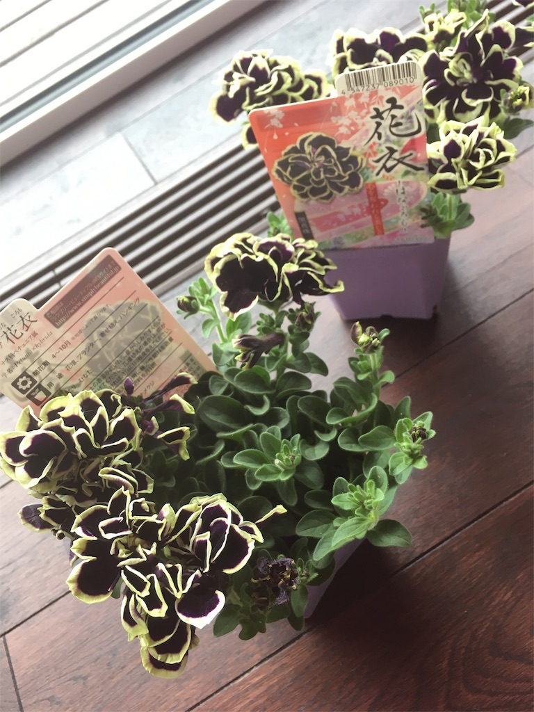 f:id:yuzuwasabi:20180509140253j:image f:id:yuzuwasabi:20180509140253j:image