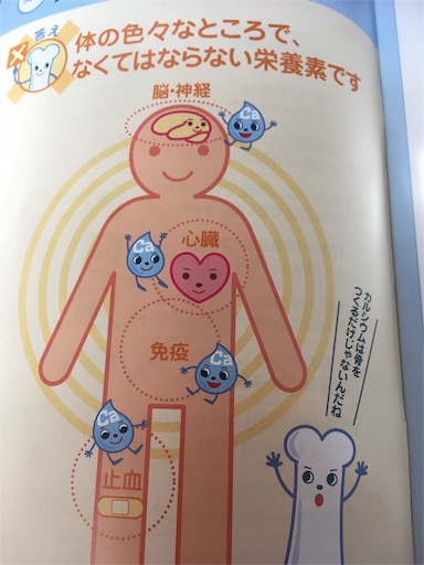 f:id:yuzuwasabi:20190417113645j:image f:id:yuzuwasabi:20190417113645j:image