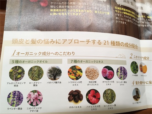 f:id:yuzuwasabi:20190601223941j:image f:id:yuzuwasabi:20190601223941j:image