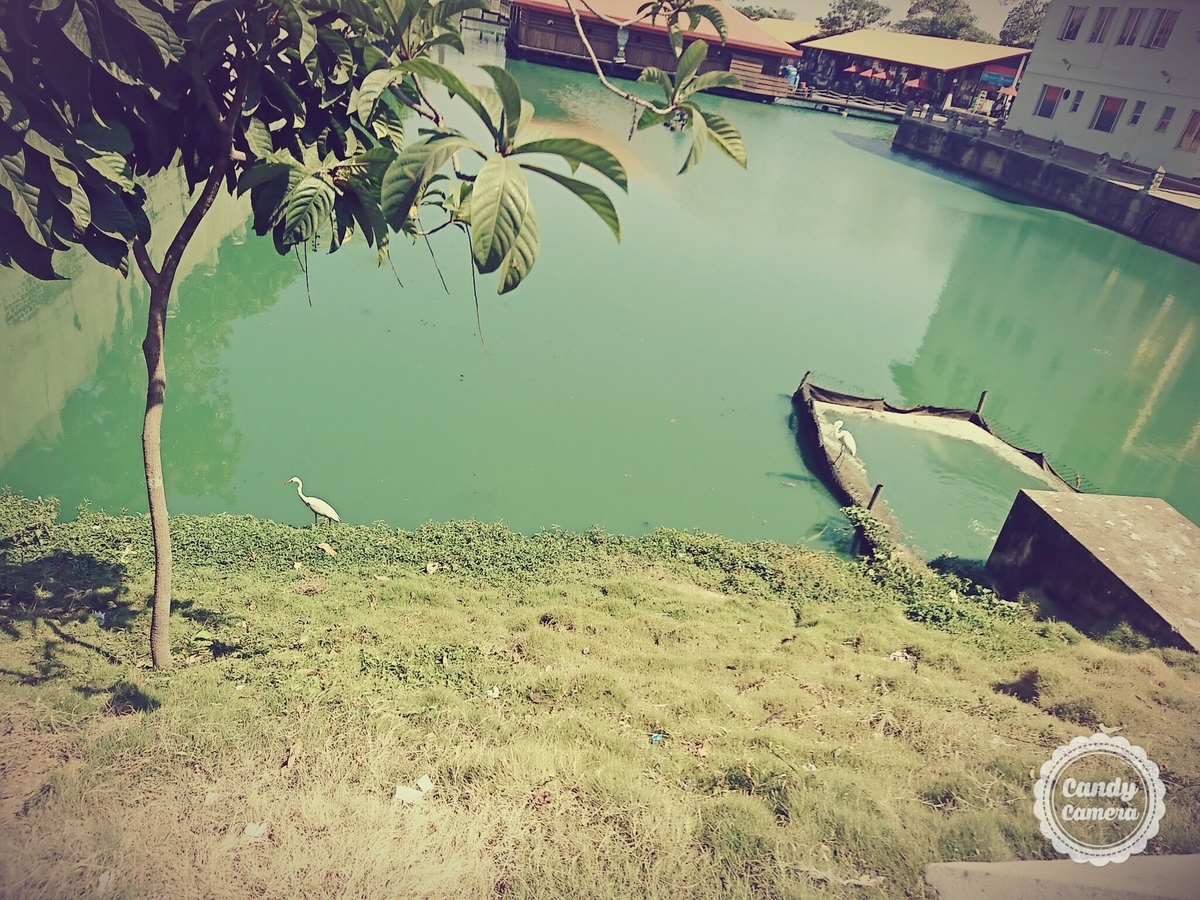 f:id:yvlisvyvlisv:20211005143004j:plain