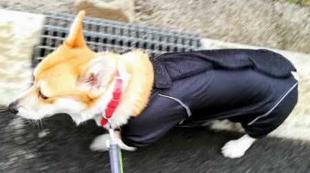 f:id:ywataru:20180202113413j:plain