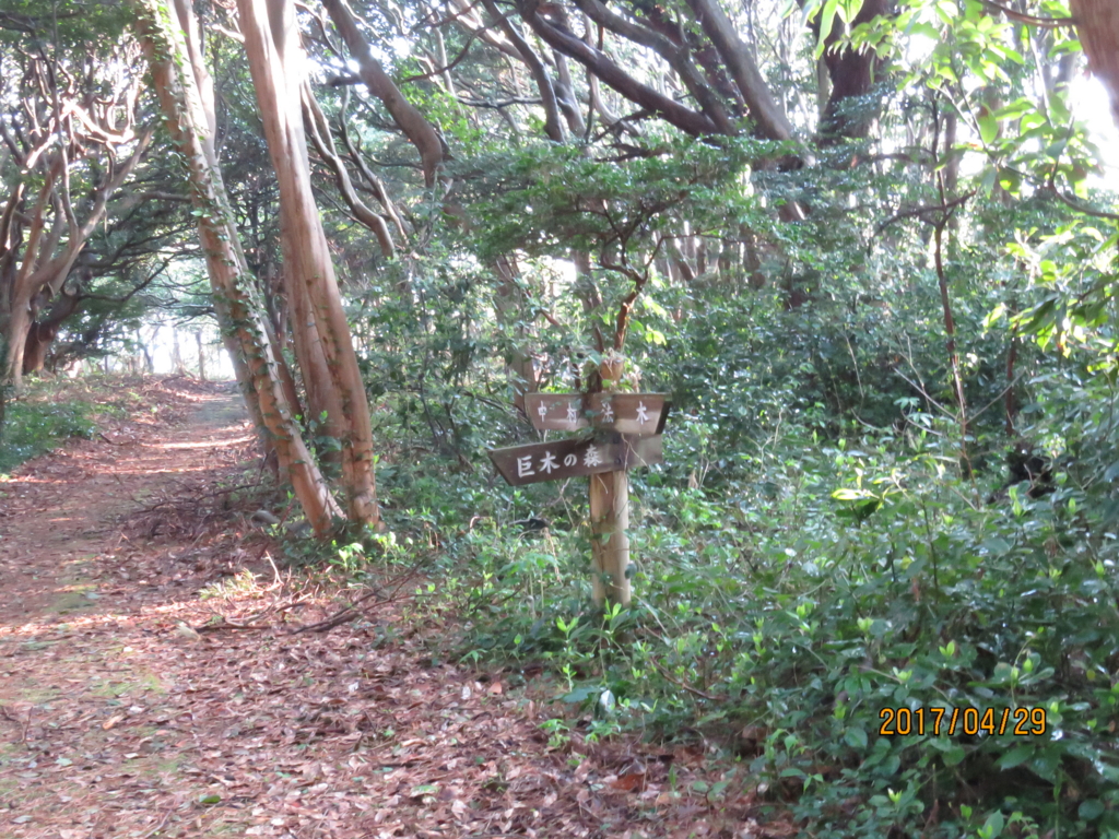 f:id:ywren:20170501184350j:plain f:id:ywren:20170501184350j:plain