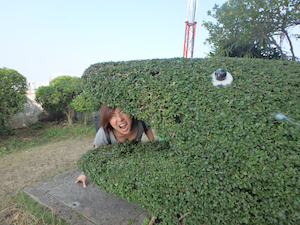 f:id:yy-yoga:20160130165626p:plain