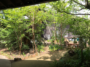 f:id:yy-yoga:20180418121731p:plain