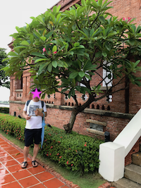 f:id:yy-yoga:20180907140530p:plain