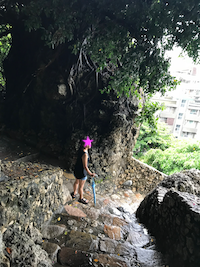 f:id:yy-yoga:20180907140553p:plain