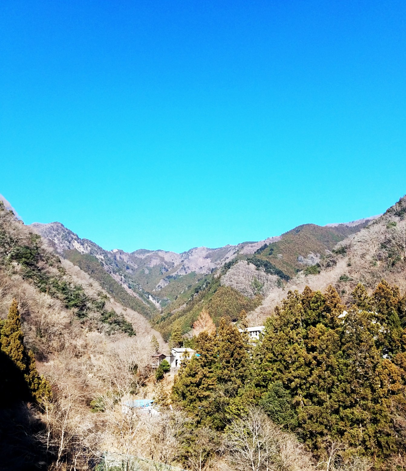 f:id:yyaa0223:20190311081330j:image f:id:yyaa0223:20190311081330j:image