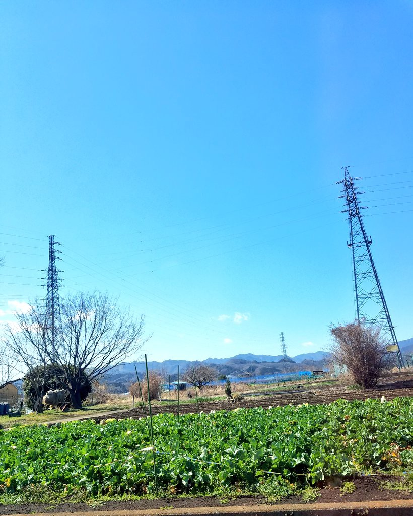f:id:yyaa0223:20190312082425j:image f:id:yyaa0223:20190312082425j:image