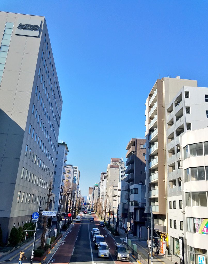 f:id:yyaa0223:20190312082504j:image f:id:yyaa0223:20190312082504j:image