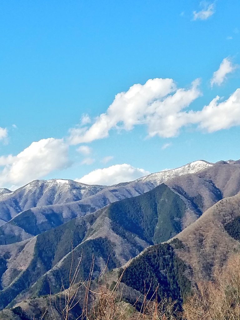 f:id:yyaa0223:20190314095904j:image f:id:yyaa0223:20190314095904j:image