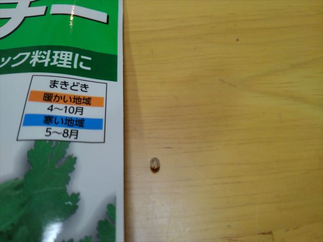 家庭菜園でパクチー コリアンダー を栽培しよう よっしーの少量多品種で楽しむ家庭菜園