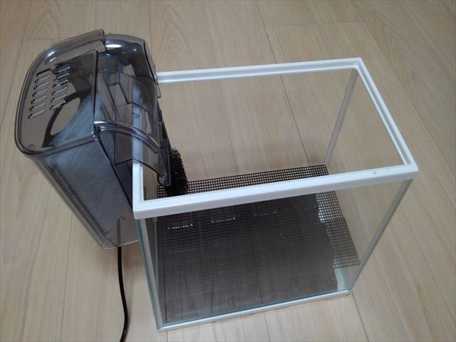 家庭菜園で 水槽栽培 かっこいい水耕栽培がやってみたかったが お蔵入りか よっしーの少量多品種で楽しむ家庭菜園
