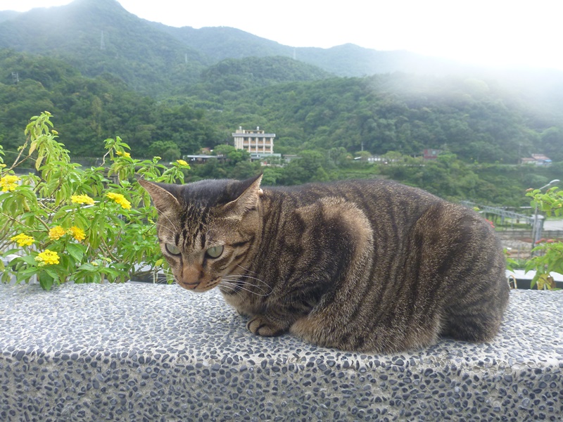 f:id:yysskk:20160922171456j:image f:id:yysskk:20160922171456j:image
