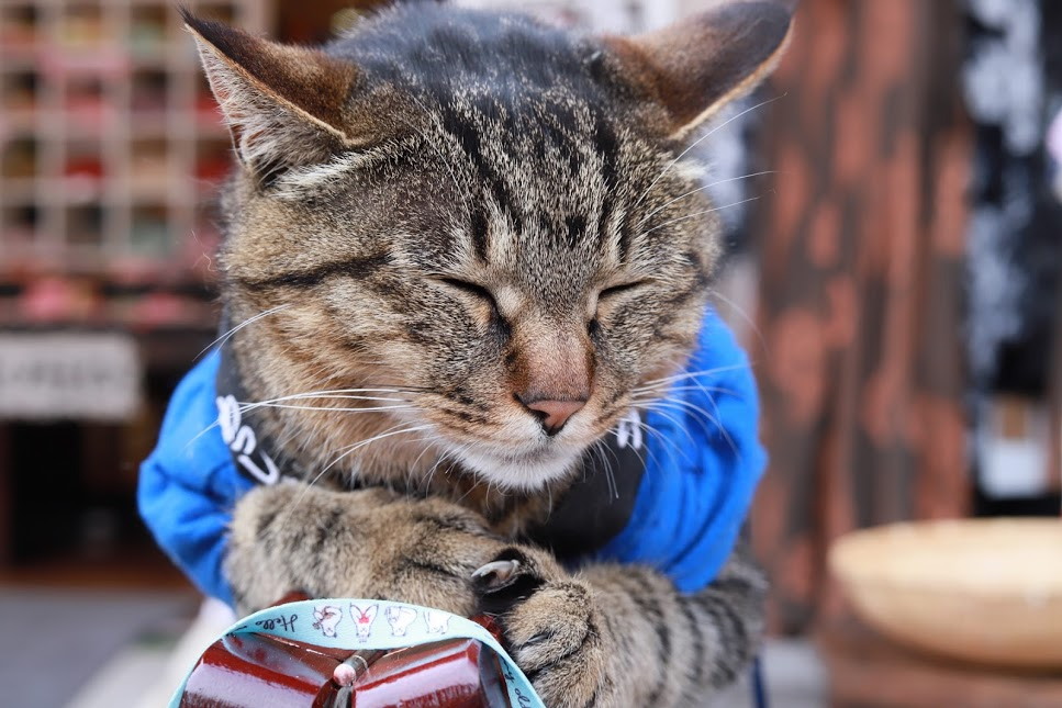 f:id:yyusukekun:20180627111603p:plain