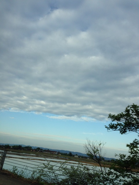 f:id:yyyeee:20150508191503j:plain f:id:yyyeee:20150508191503j:plain