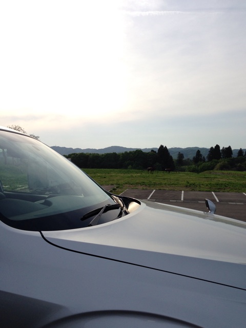 f:id:yyyeee:20150510054157j:plain f:id:yyyeee:20150510054157j:plain
