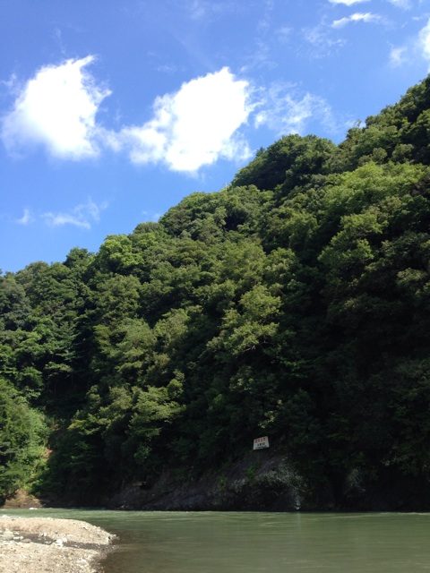 f:id:yyyeee:20150721205522j:plain f:id:yyyeee:20150721205522j:plain